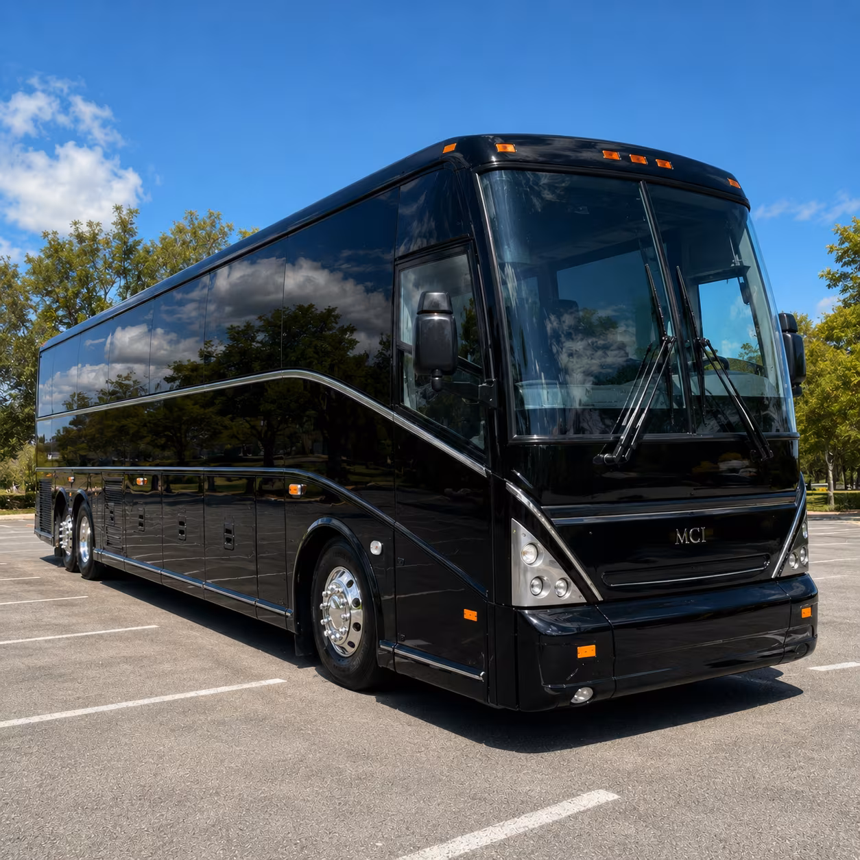 getting a full grade level to the north carolina zoo is easy when you compare buses first